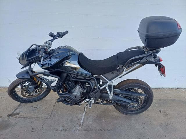 TRIUMPH - TIGER 900 RALLY — foto do lote