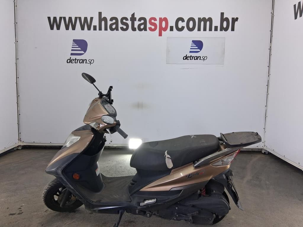 JTZ LINDY Q 2018 2019 MARROM — foto do lote