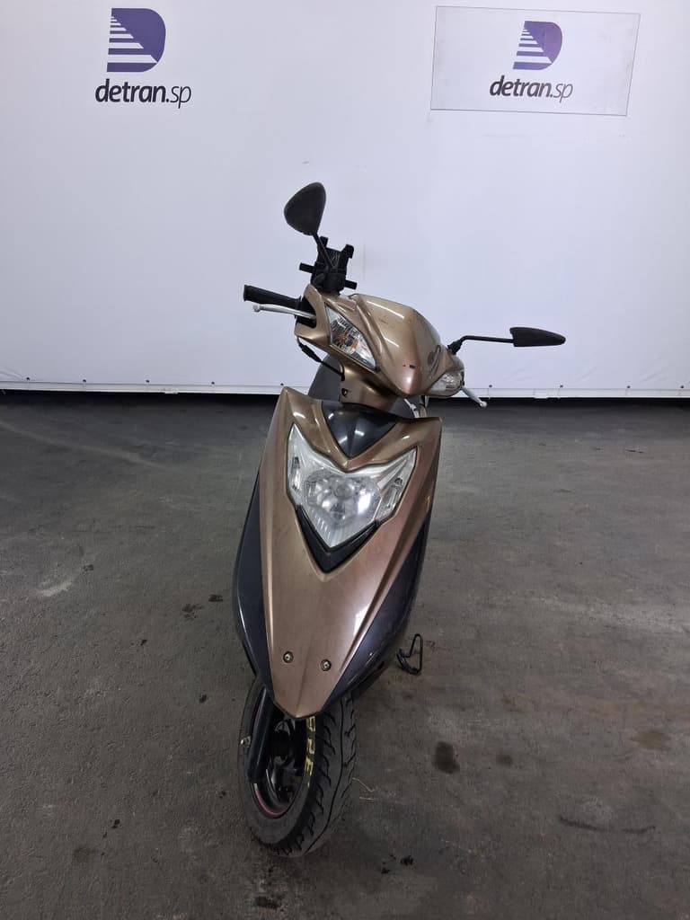 JTZ LINDY Q 2018 2019 MARROM — foto do lote